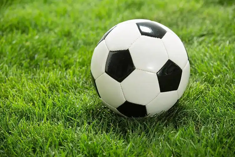 今日足球赛事前瞻多平台下载